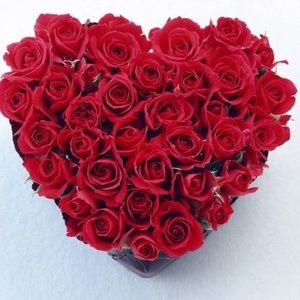 Meet your Posher, Barbara